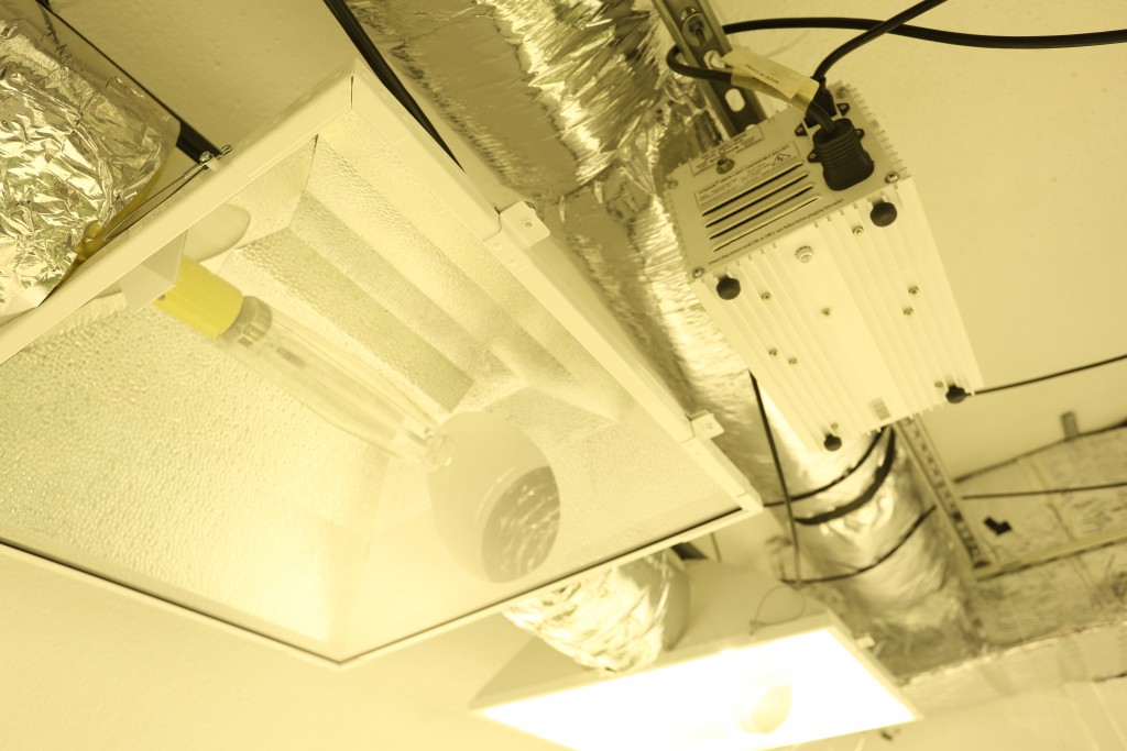 HID Grow Light Ballasts vs. Electronic Cannabis Industry